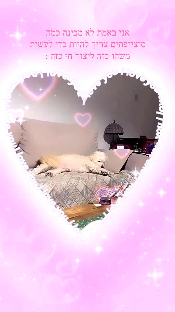 feelbetterinmysweater archive video preview