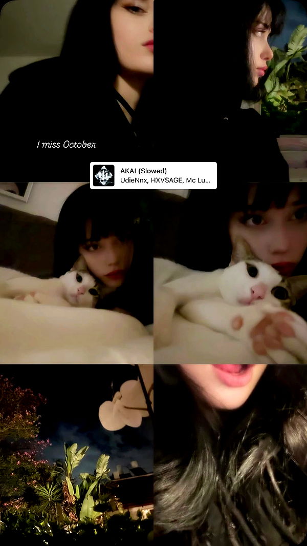 moonliliaght archive video preview