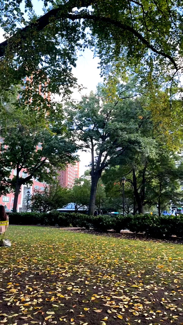 biton__adi archive video preview