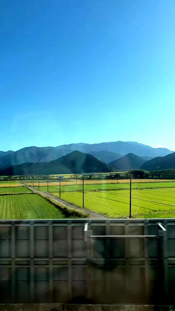 elianachetrit archive video preview