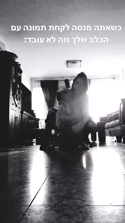 lissi77 lissi77 archive video