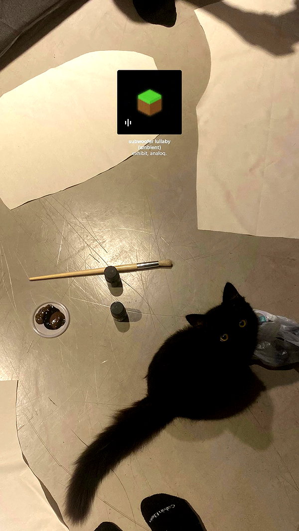 shaielsantos archive video preview