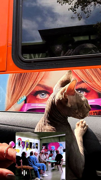 zommmbri zommmbri archive video