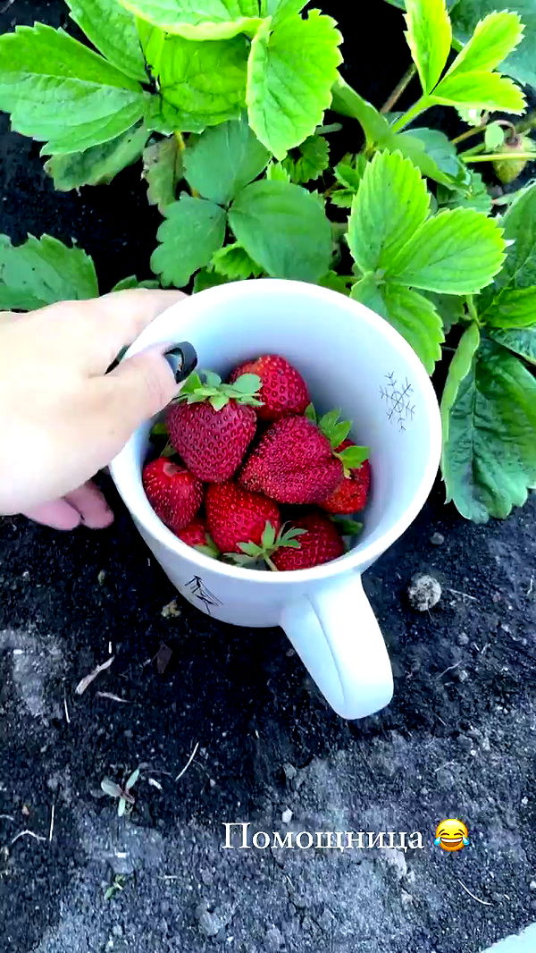 nyityam archive video preview