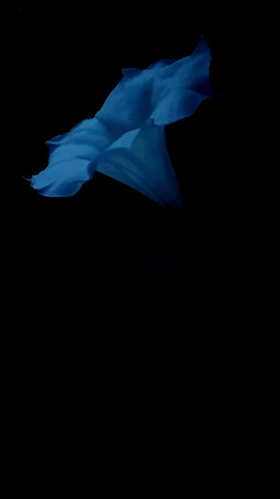 feelbetterinmysweater feelbetterinmysweater archive video