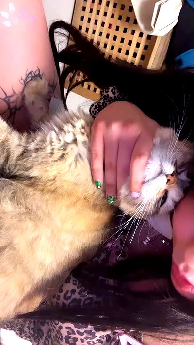 hellokittyangel666 hellokittyangel666 archive video