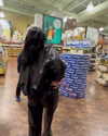 kyliejenner Altpins Profile Picture