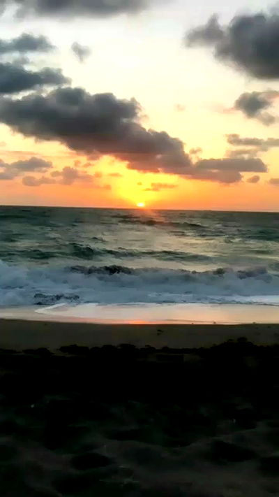 noa_zemlyanski noa_zemlyanski archive video