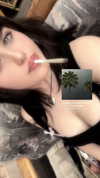 s4lem777 Altpins Profile Picture