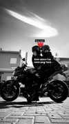 vladi_peacenlove Altpins Profile Picture