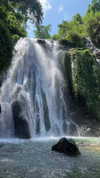noa_mendel_ Altpins Profile Picture