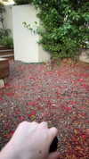 karin_orhov Altpins Profile Picture