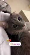 canabaputgir Altpins Profile Picture
