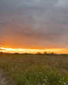 _tero._ Altpins Profile Picture