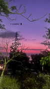 sofiya.pl Altpins Profile Picture