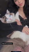 pixieonyxx Altpins Profile Picture