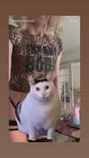 bibblekitty.reels Altpins Profile Picture