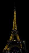 harrietross_ Altpins Profile Picture