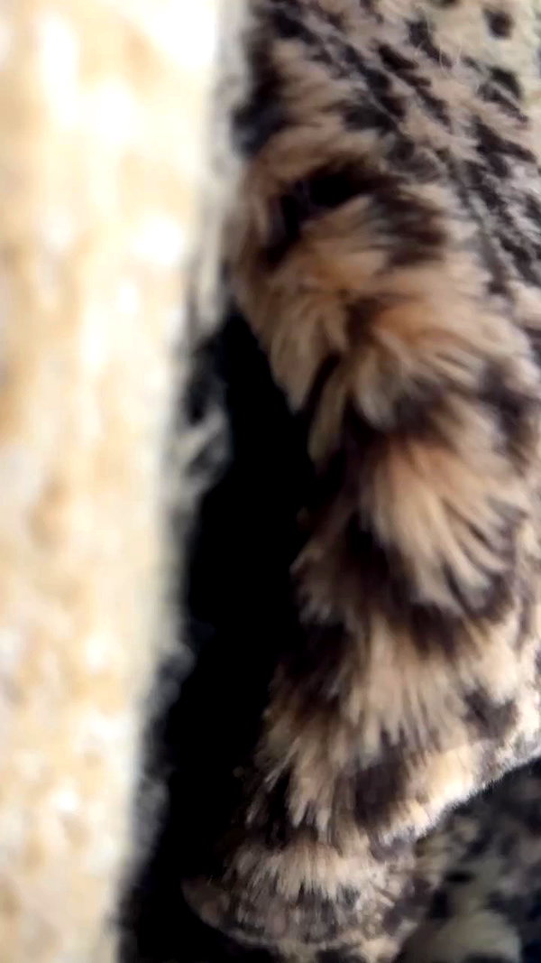sydney_melman archive video preview