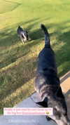 jenny.kaly Altpins Profile Picture