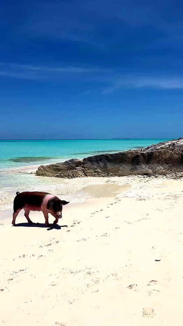 payton.r archive video preview