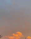 rashan.mh Altpins Profile Picture