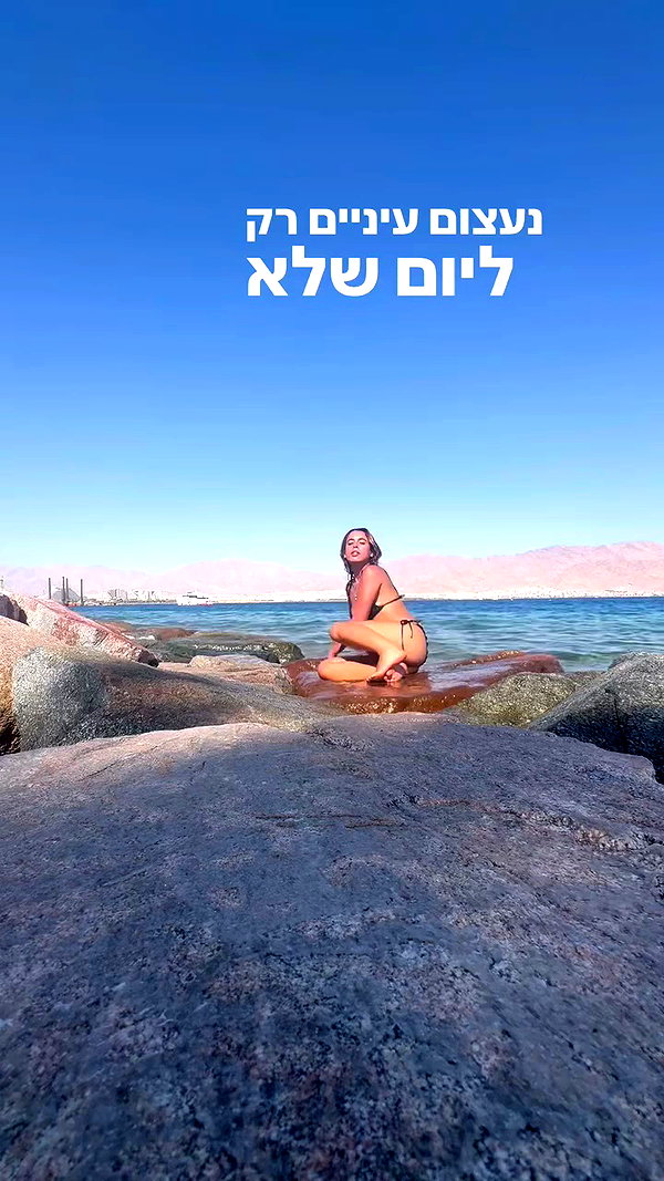 ___shachar archive video preview