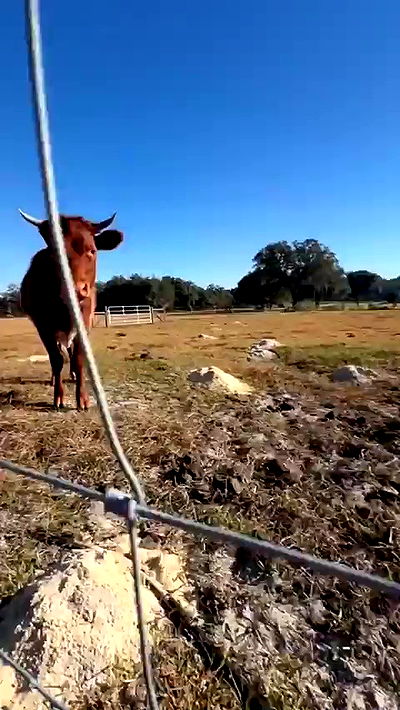 sophieraiin sophieraiin archive video