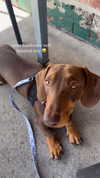 mia.ngarla Altpins Profile Picture