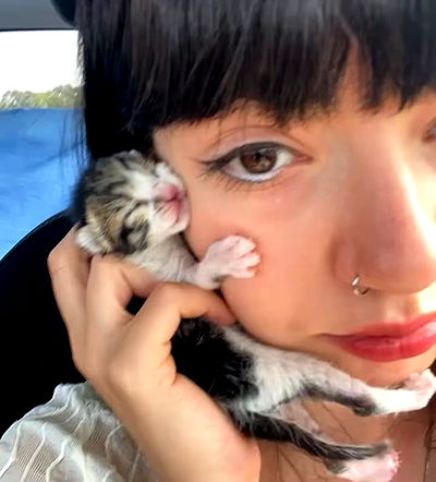 yam_adler yam_adler archive video