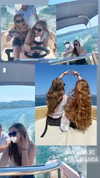 justfranzi.x Altpins Profile Picture