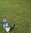 cat2_bat Altpins Profile Picture