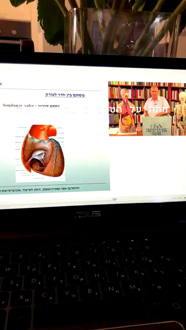 kesemgreenyer archive video preview