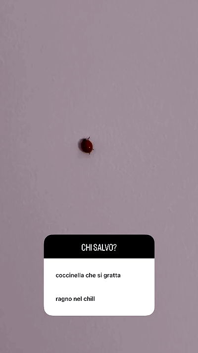 kasumi_sen kasumi_sen archive video