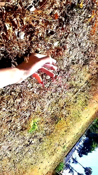 noyaislilith333 noyaislilith333 archive video