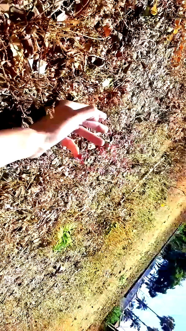 noyaislilith333 archive video preview