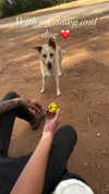 vladi_peacenlove Altpins Profile Picture