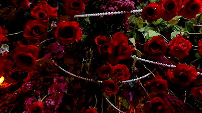 iamcardib iamcardib archive video