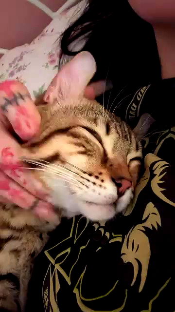 laurinchhhe laurinchhhe archive video