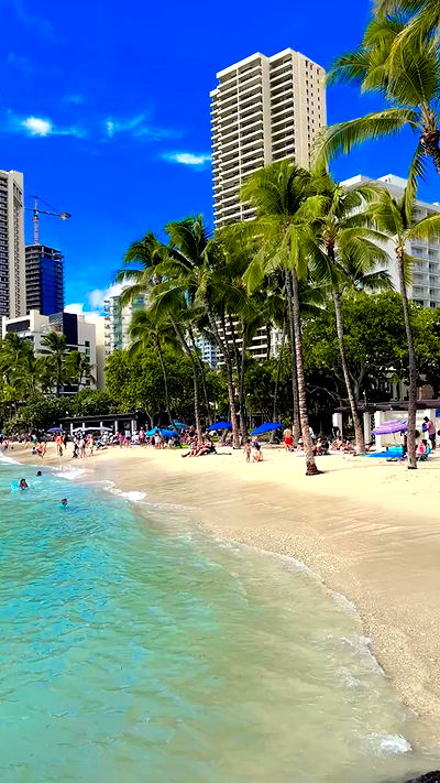 annieee__z annieee__z archive video