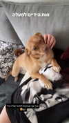 lera.genadenik Altpins Profile Picture