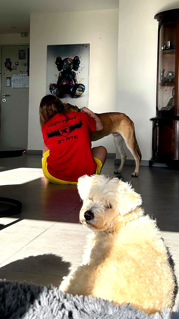 feelbetterinmysweater archive video preview