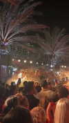 ligal_zino Altpins Profile Picture