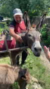 lizi.nazara Altpins Profile Picture