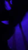 rinnibunnyy Altpins Profile Picture