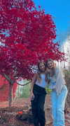 samanthasedaros Altpins Profile Picture