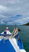 noa_mendel_ Altpins Profile Picture