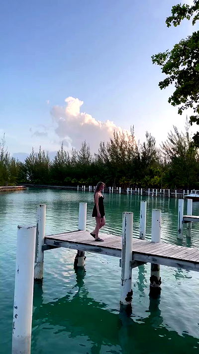 carolinezalog carolinezalog archive video