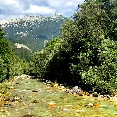 ellamwatts_ ellamwatts_ archive video