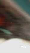 novahnovielli Altpins Profile Picture